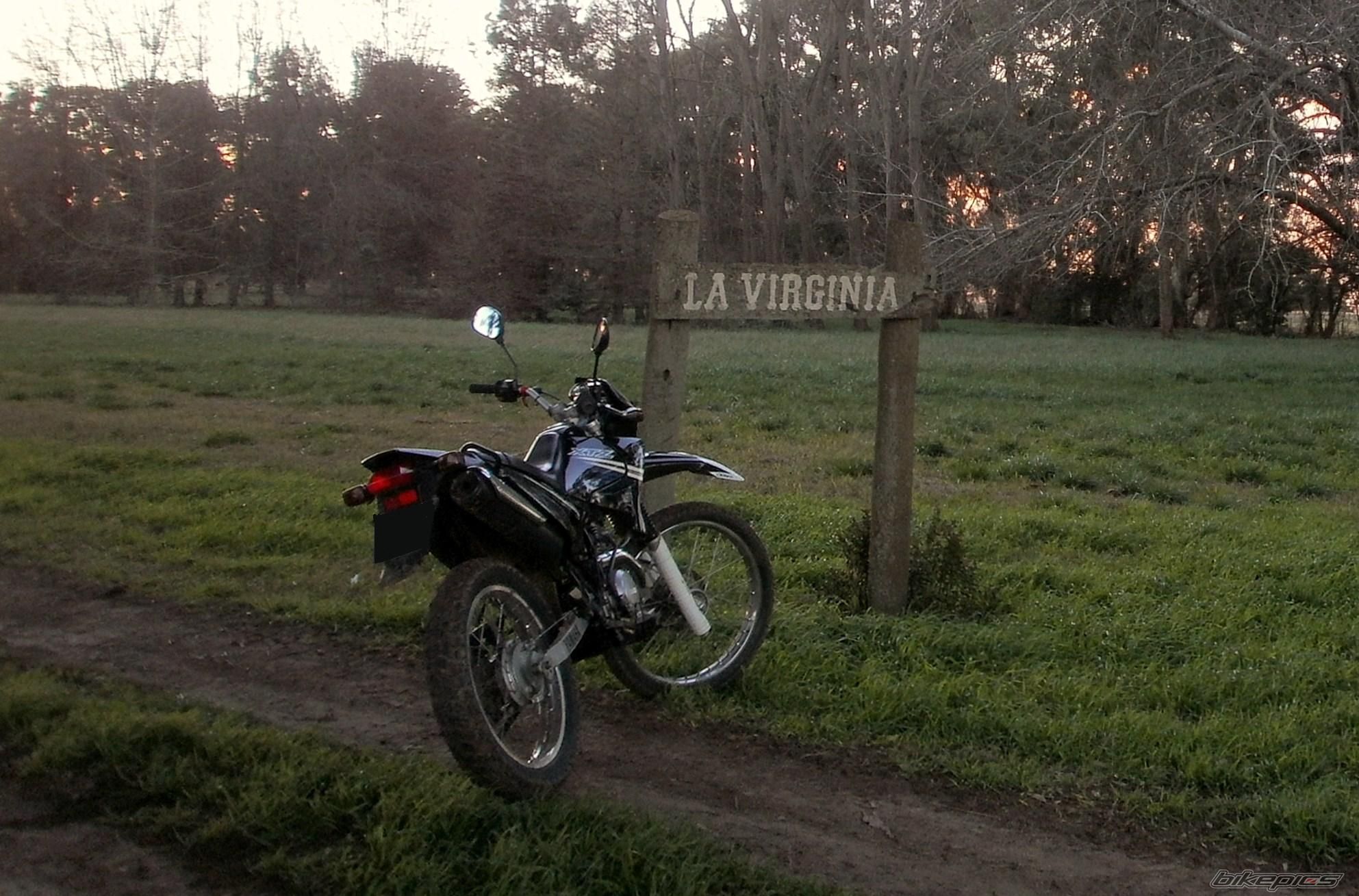 Photo 2789396