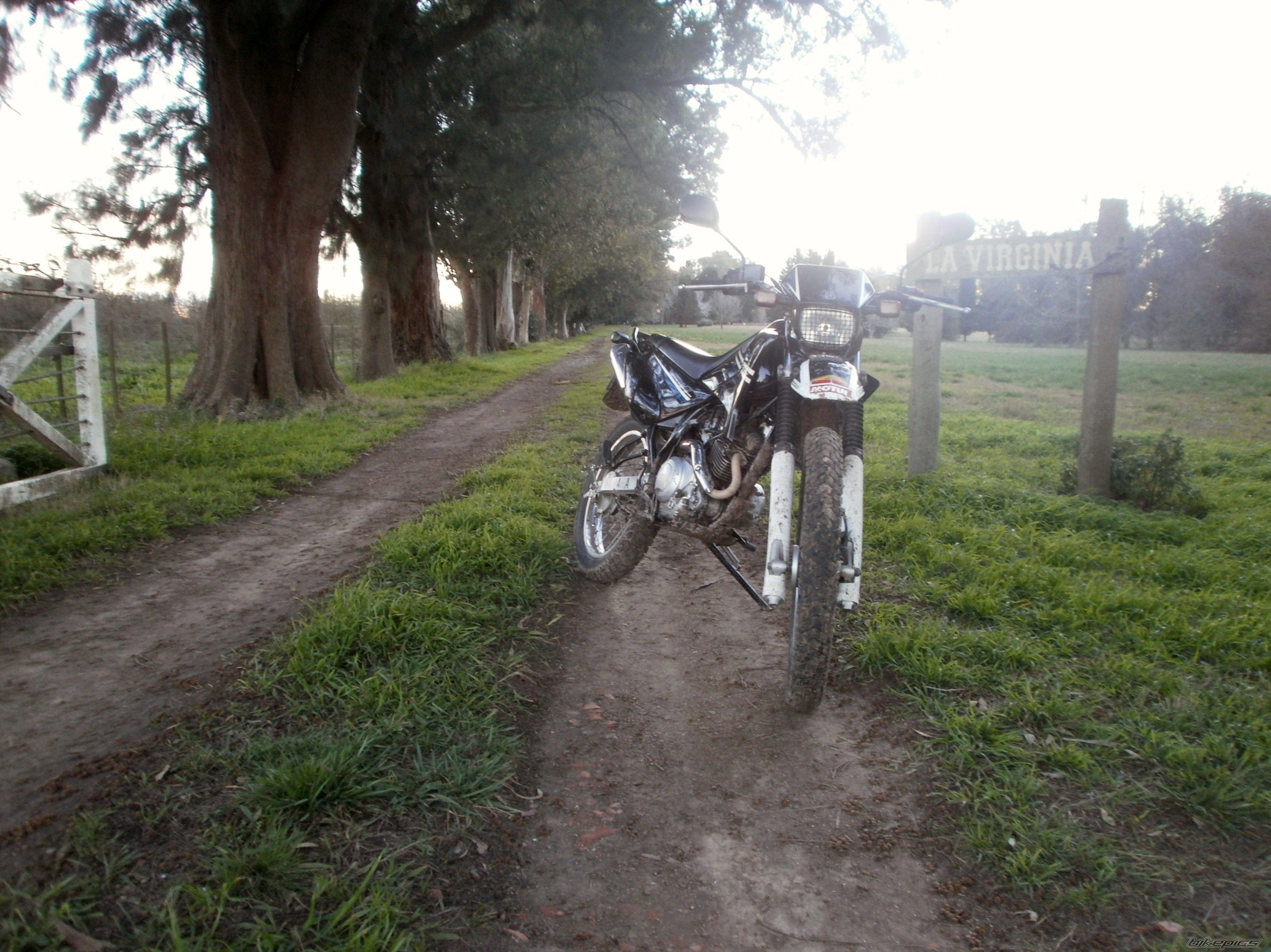 Photo 2789398