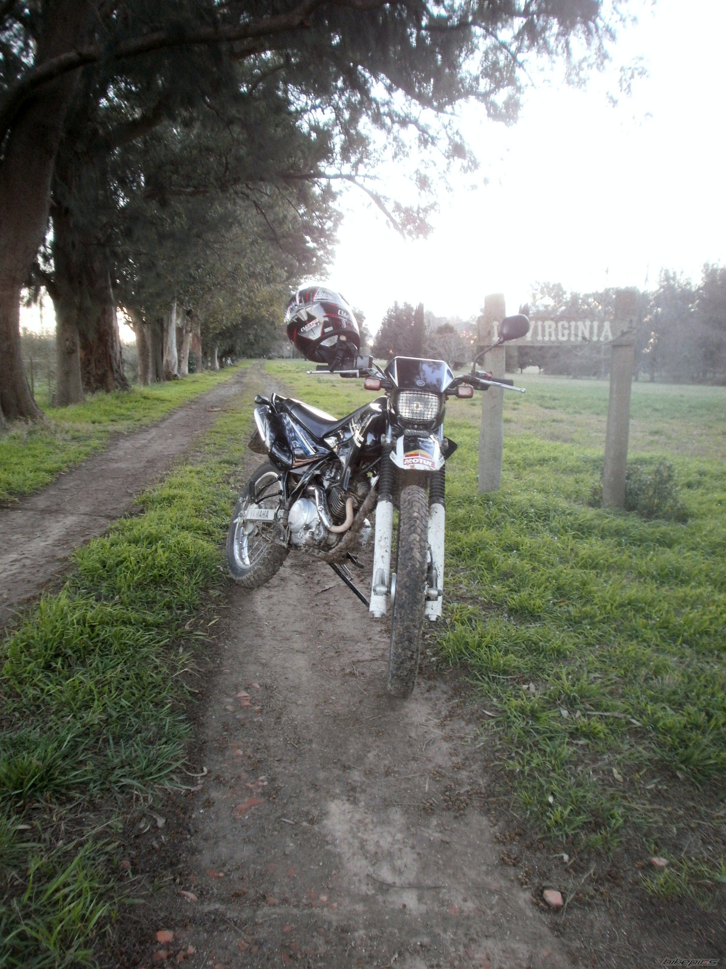 Photo 2789400