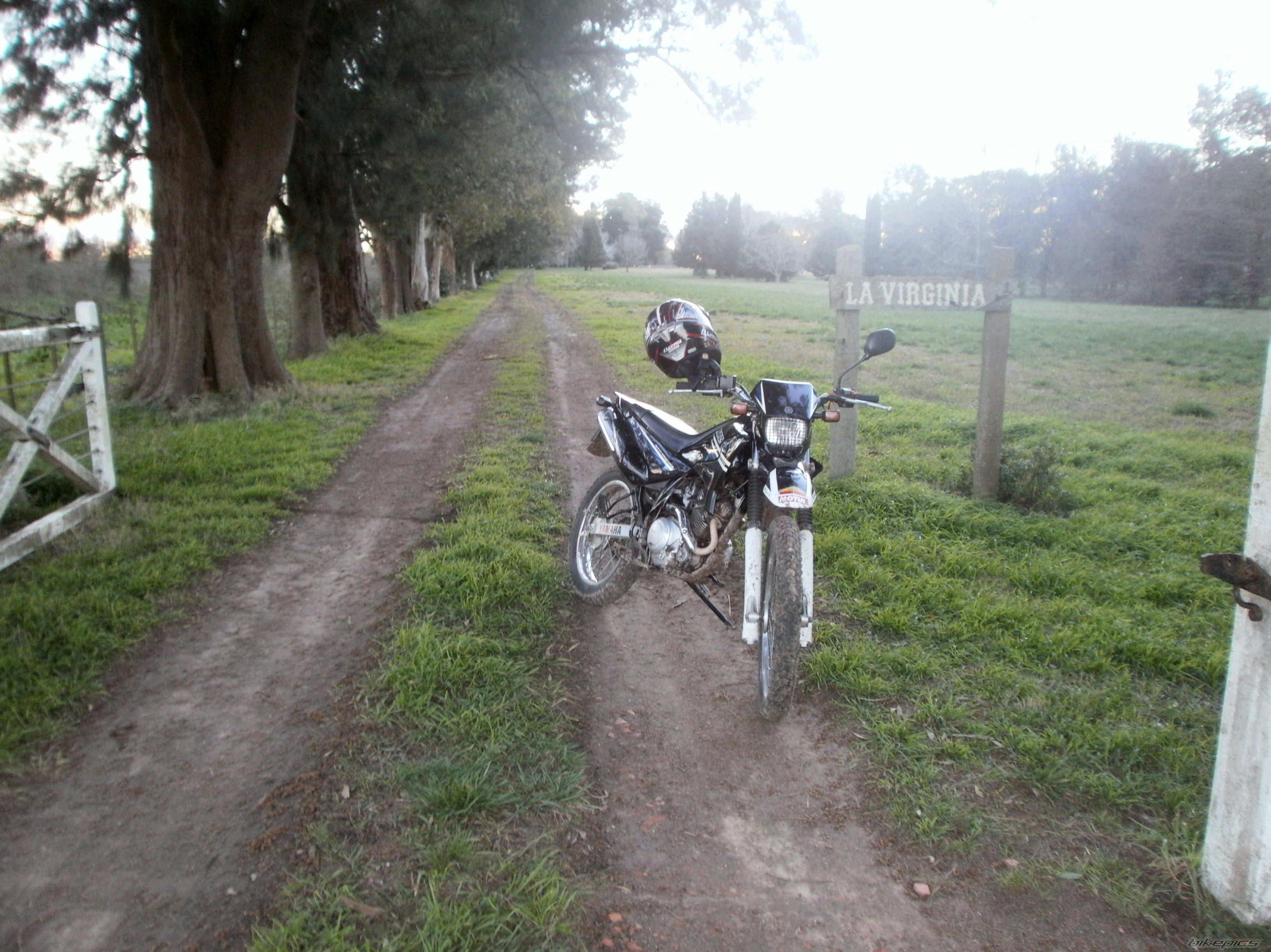 Photo 2789402