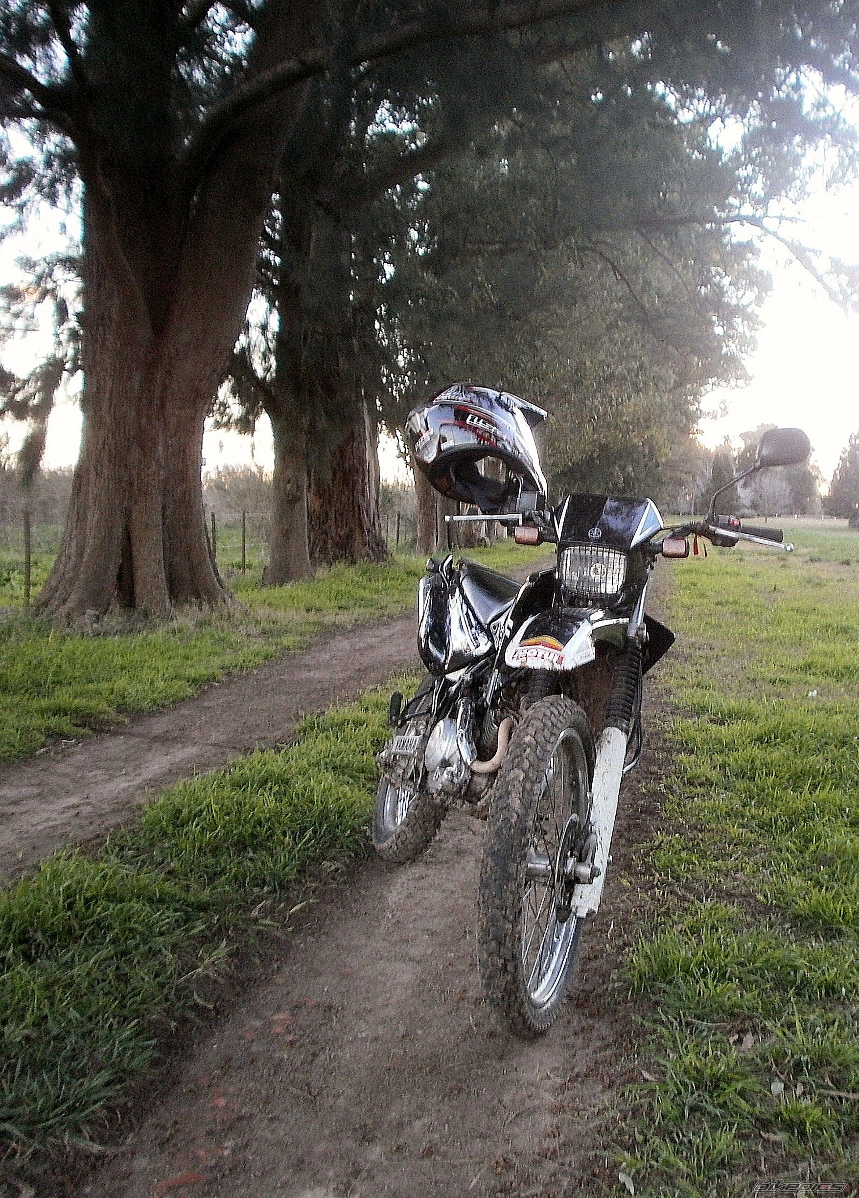 Photo 2789403