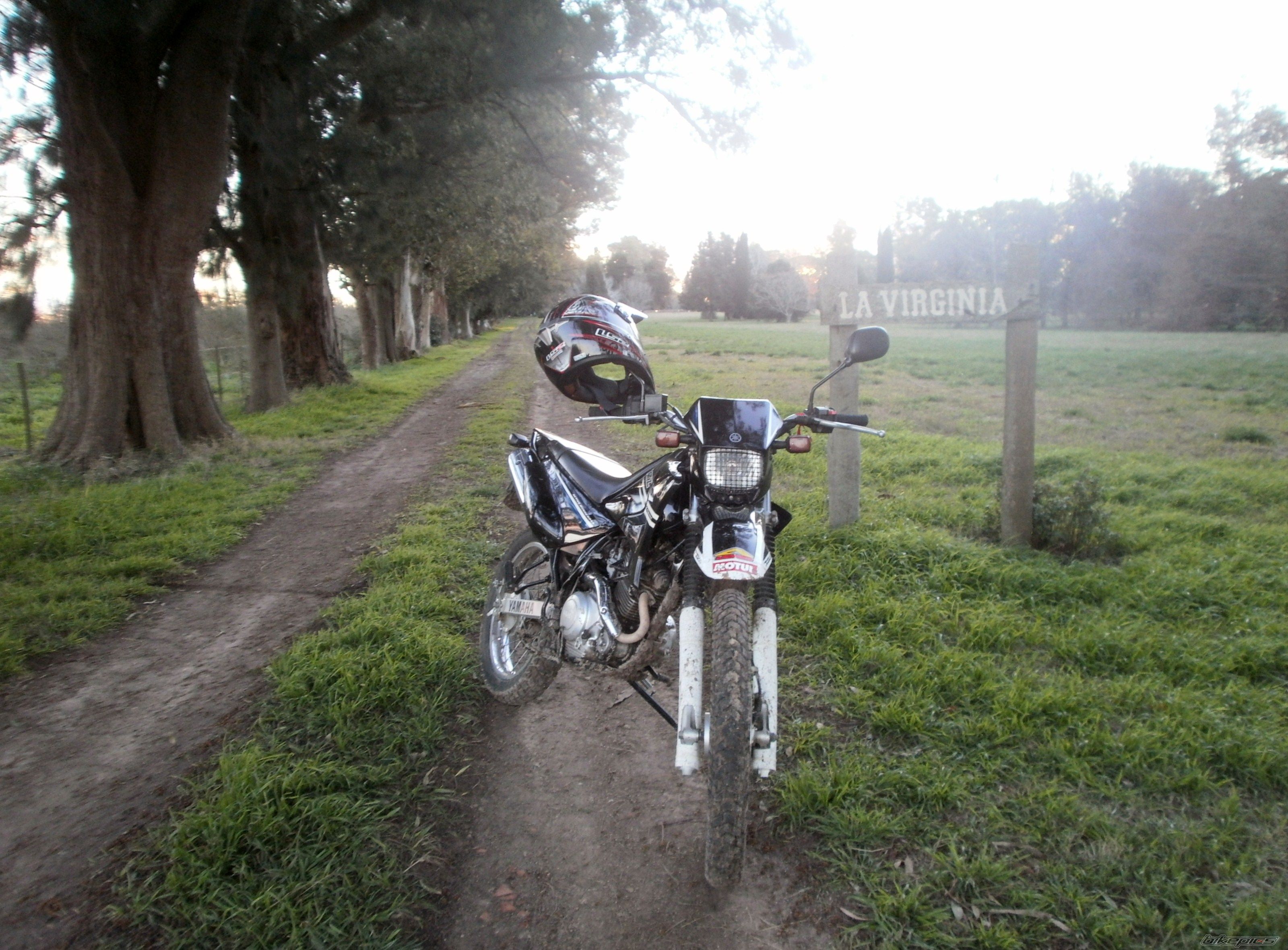 Photo 2789404