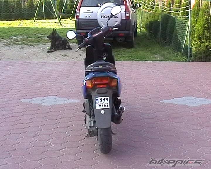 Photo 278948