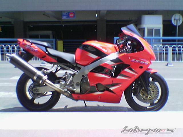 Photo 278949