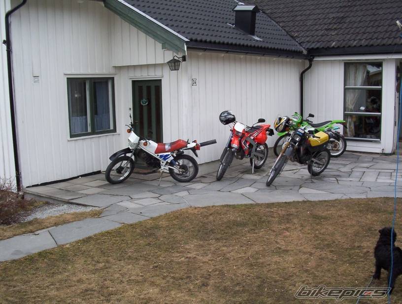 Photo 278951