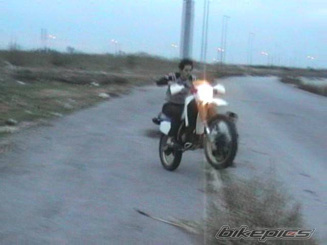 Photo 278963