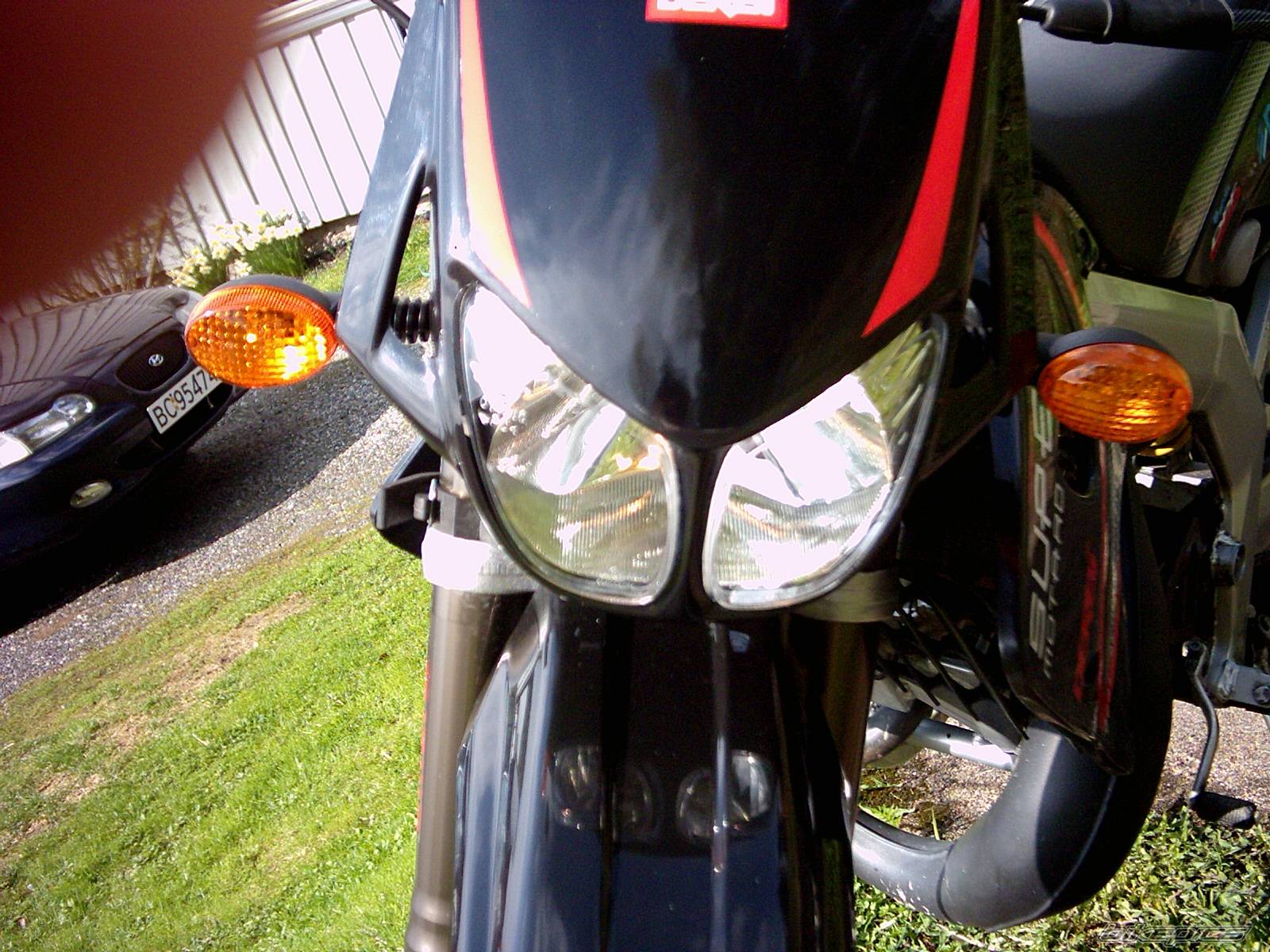 Photo 278971