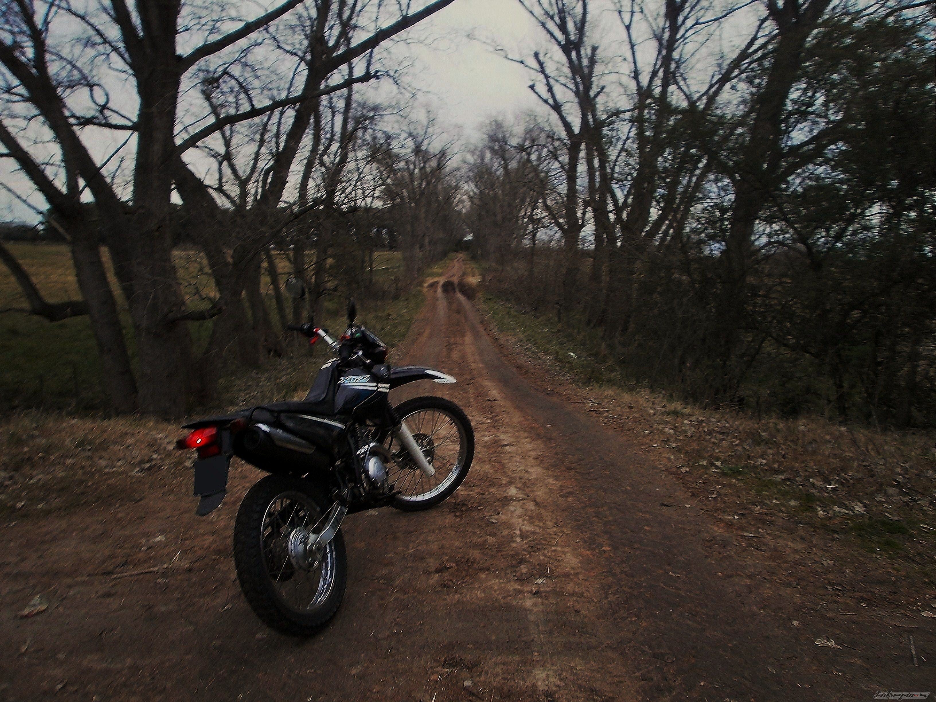 Photo 2789910
