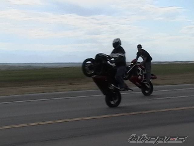 Photo 278995