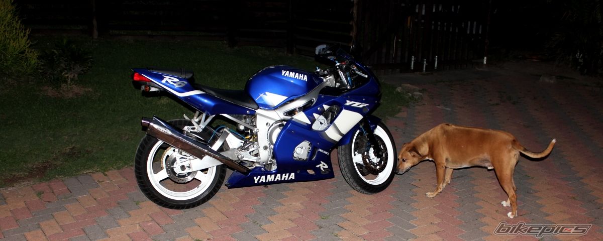 Photo 2789985