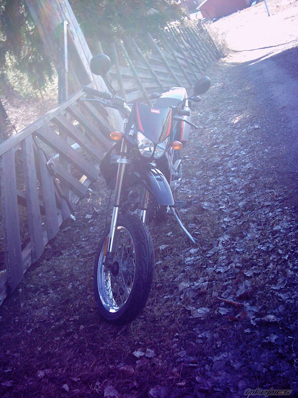 Photo 279002