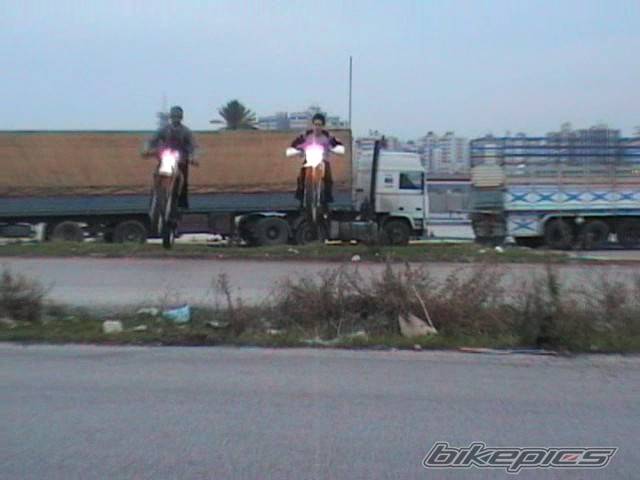 Photo 279015