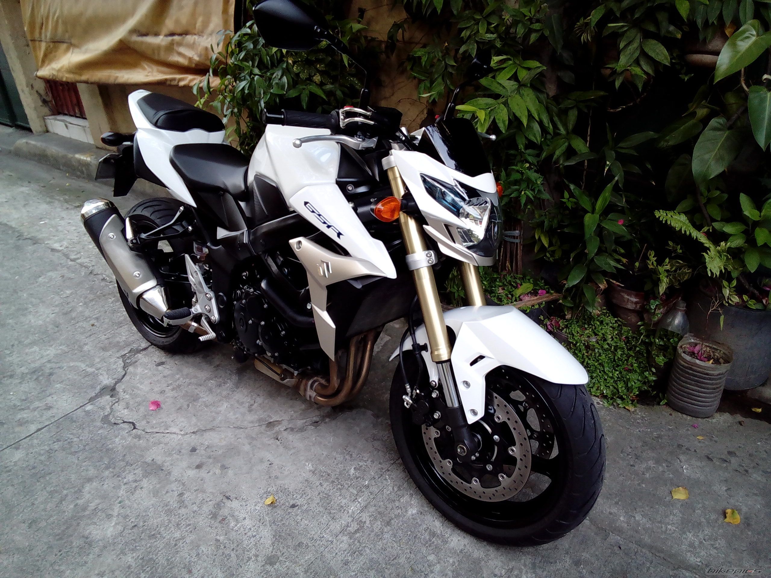 Photo 2790222