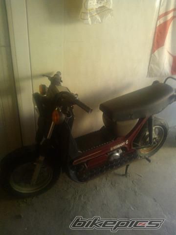 Photo 2790245