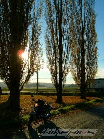 Photo 279049