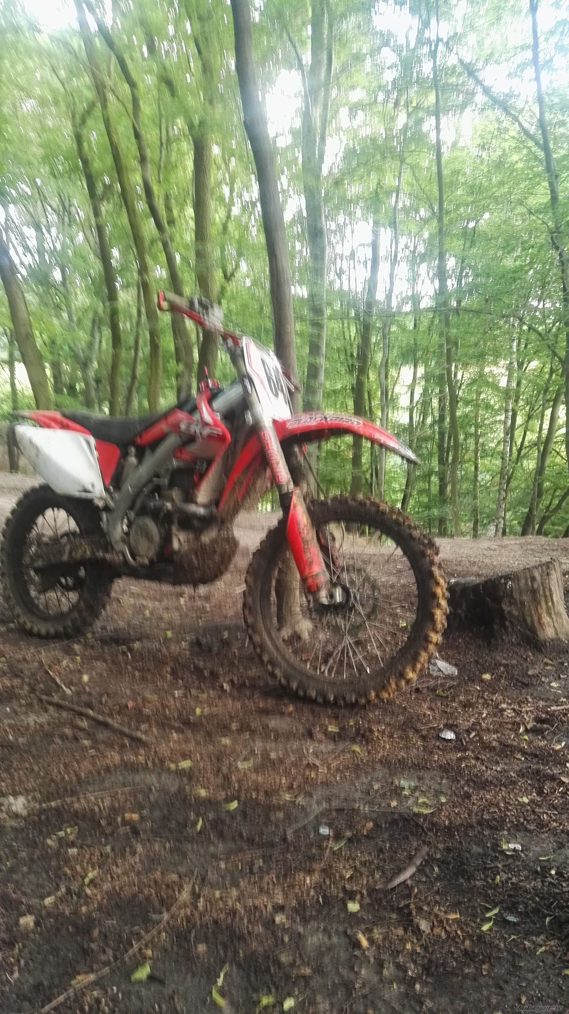 Photo 2790494