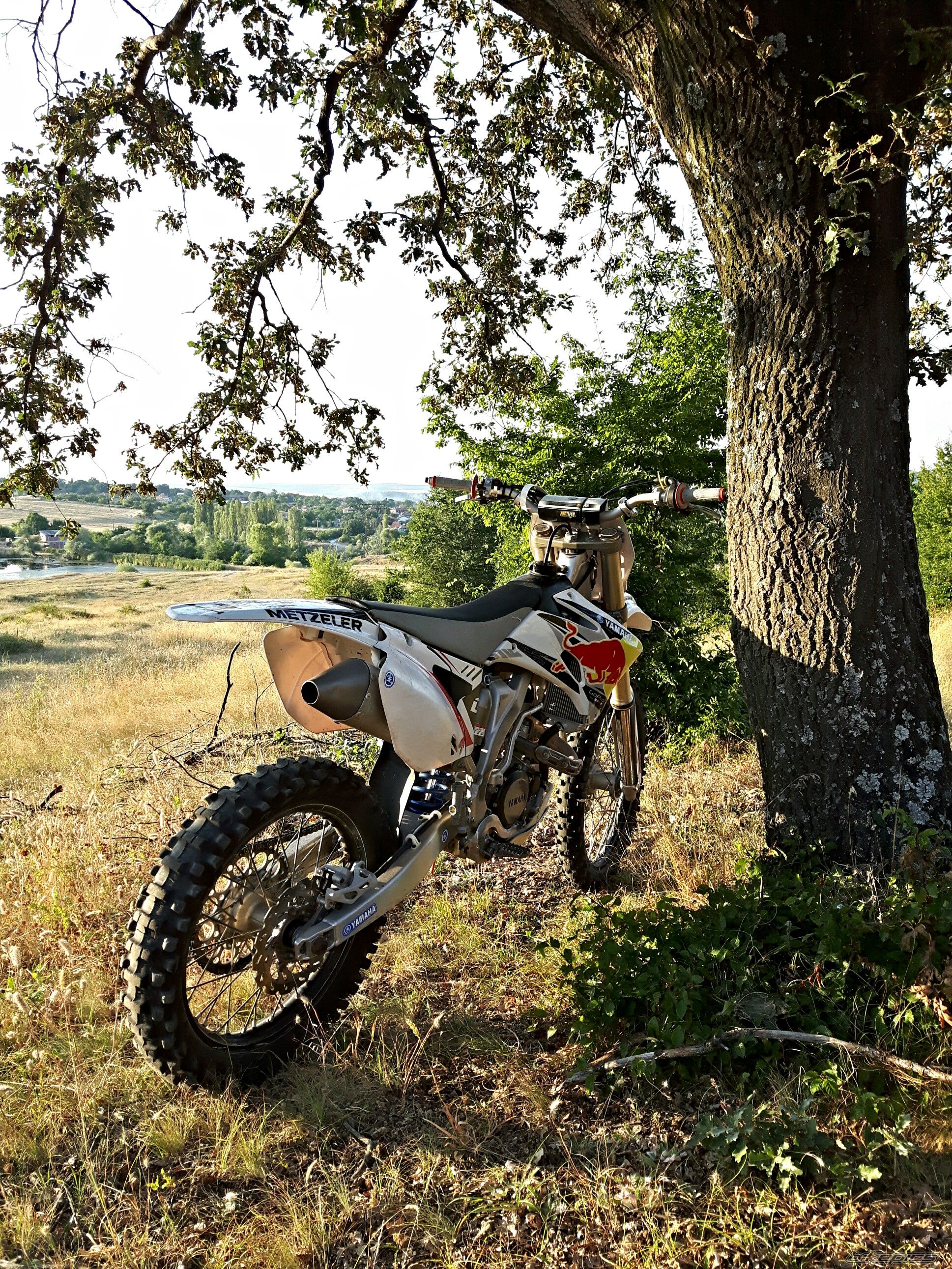 Photo 2790720