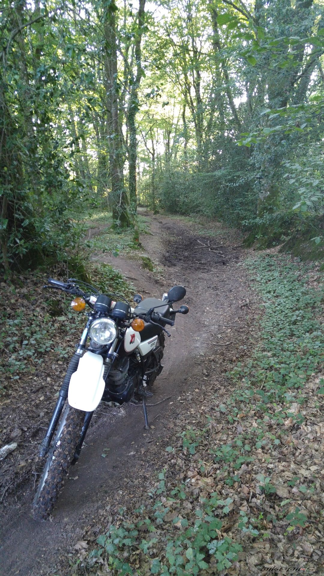 Bike Photo 2790728