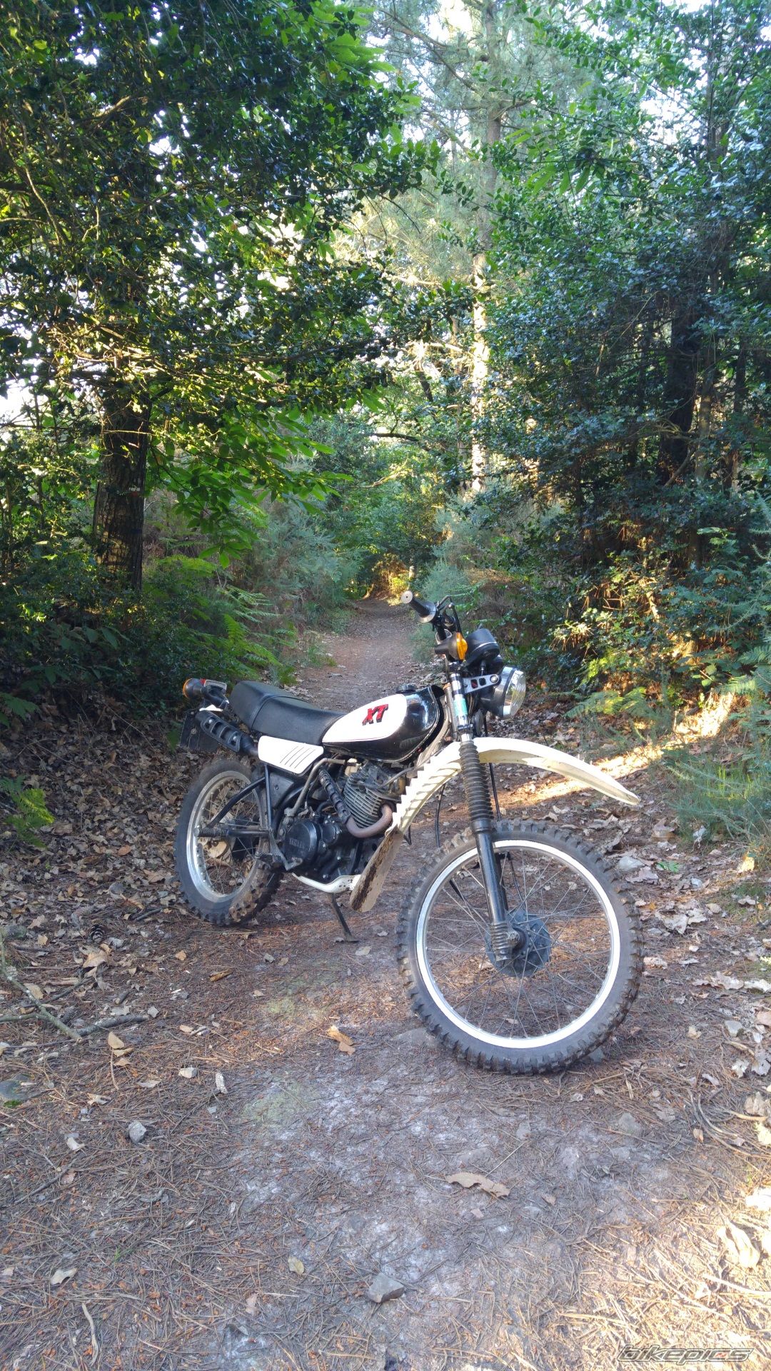 Bike Photo 2790729