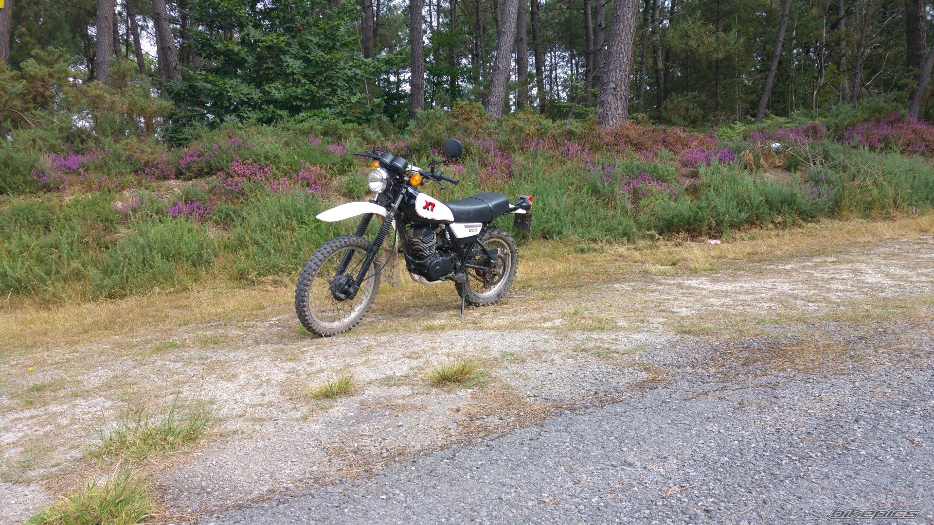 Bike Photo 2790731