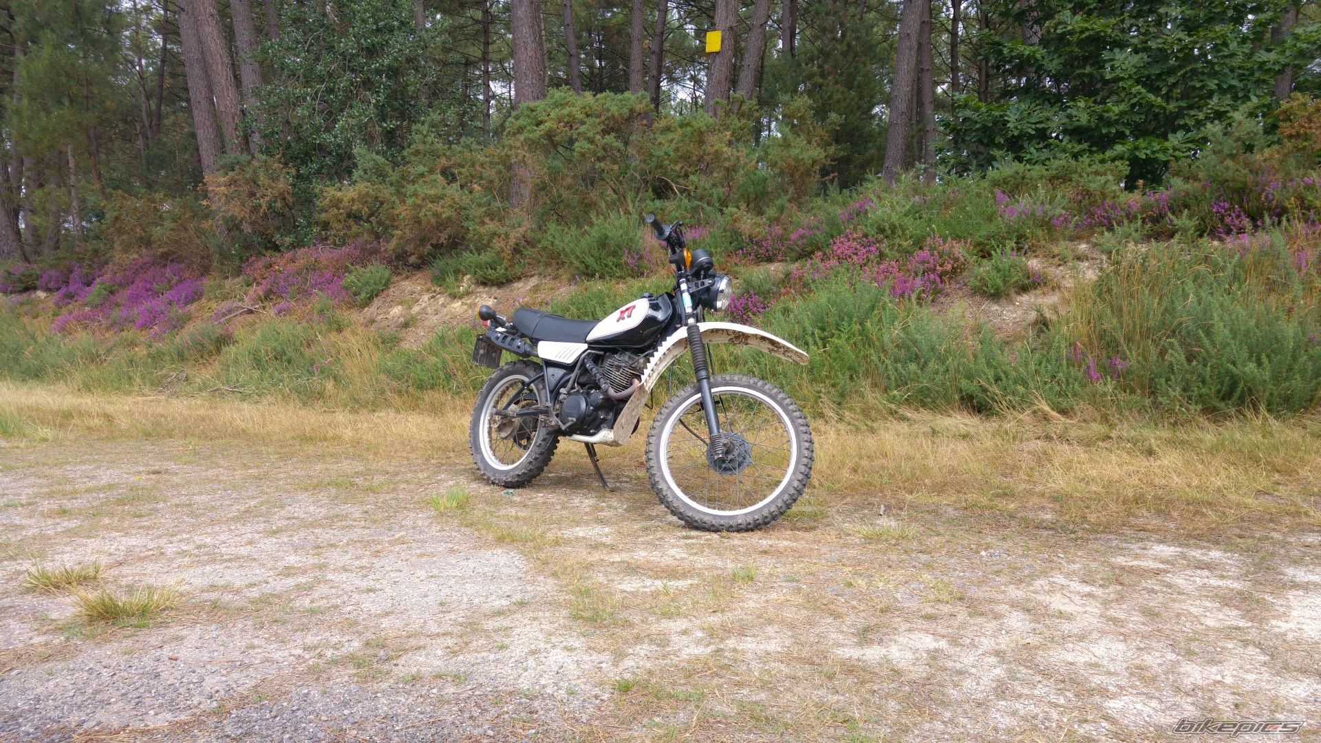 Bike Photo 2790732