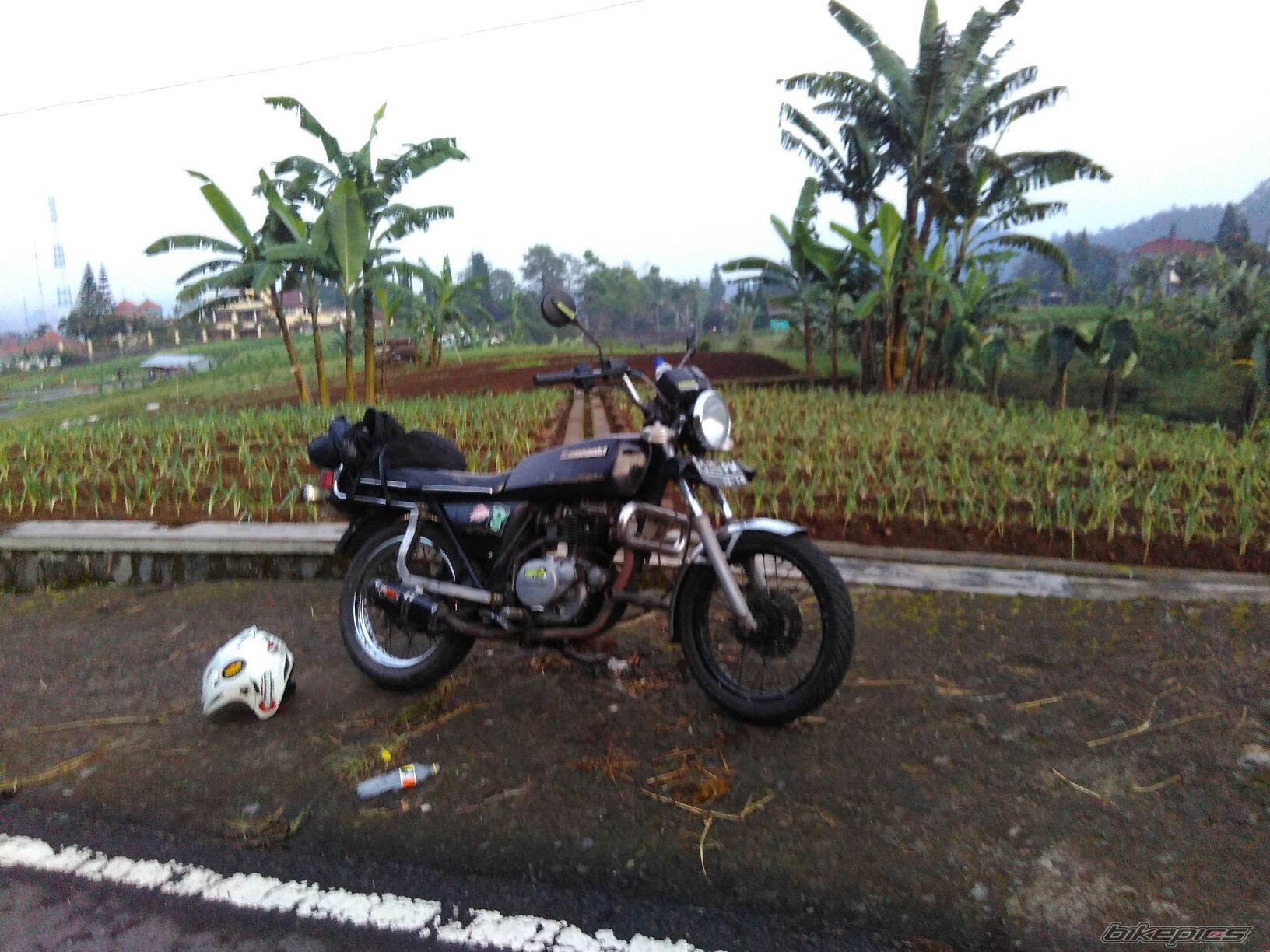 Photo 2790770