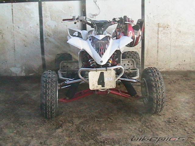 Photo 279078