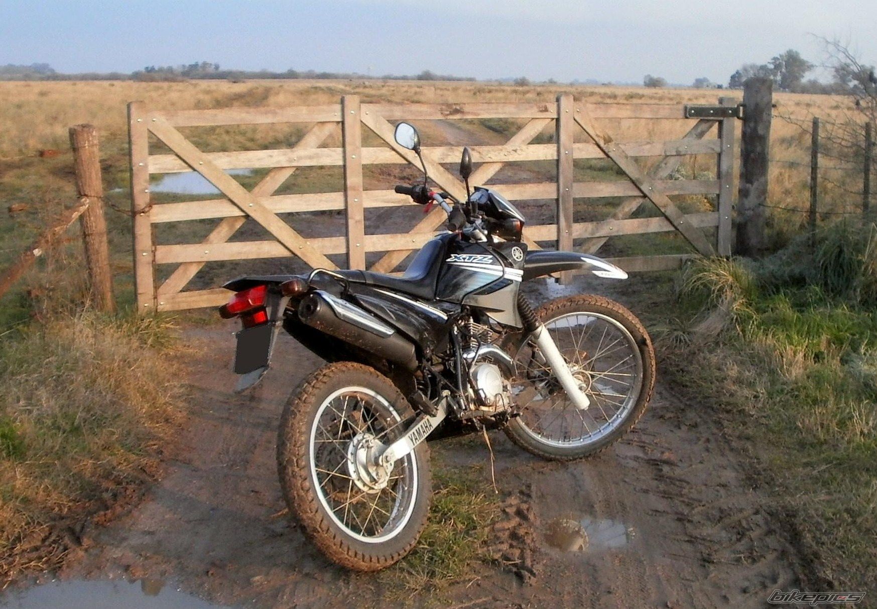 Photo 2790970