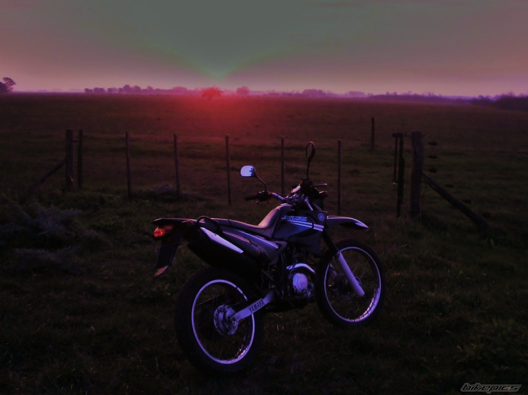 Photo 2790973