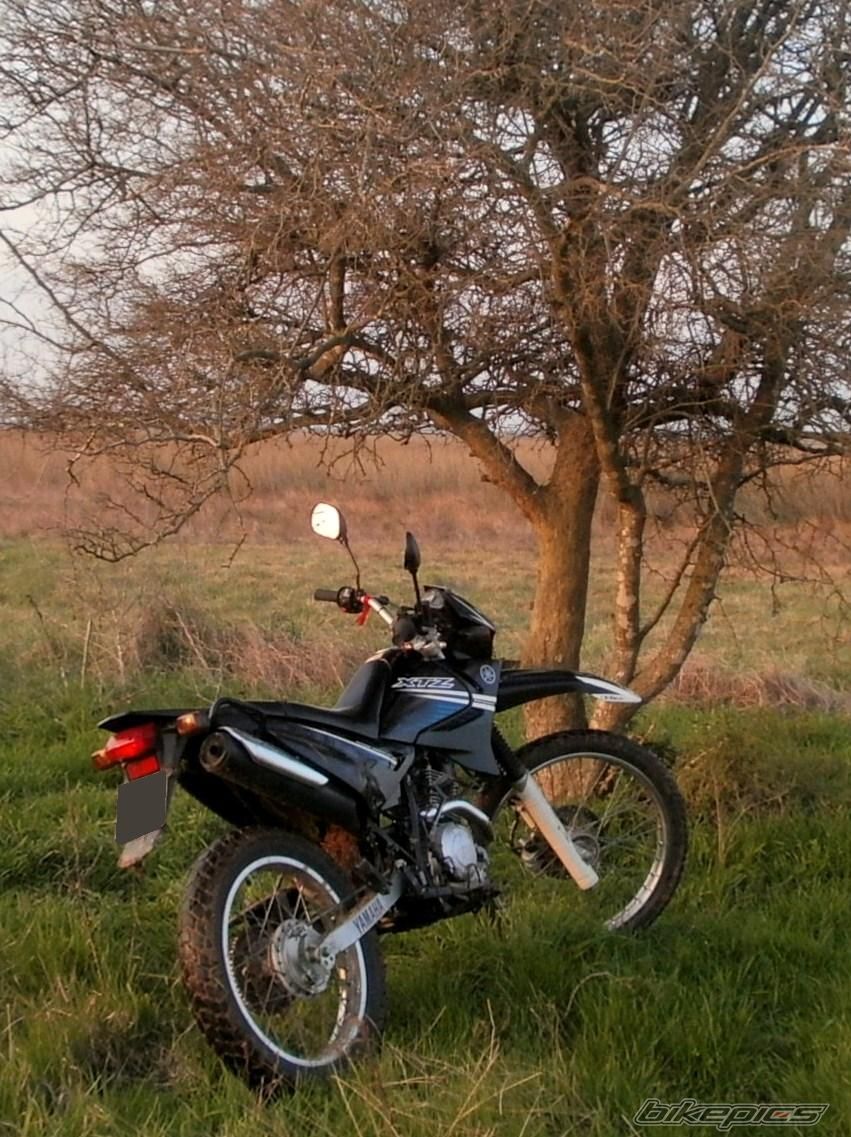Photo 2790974