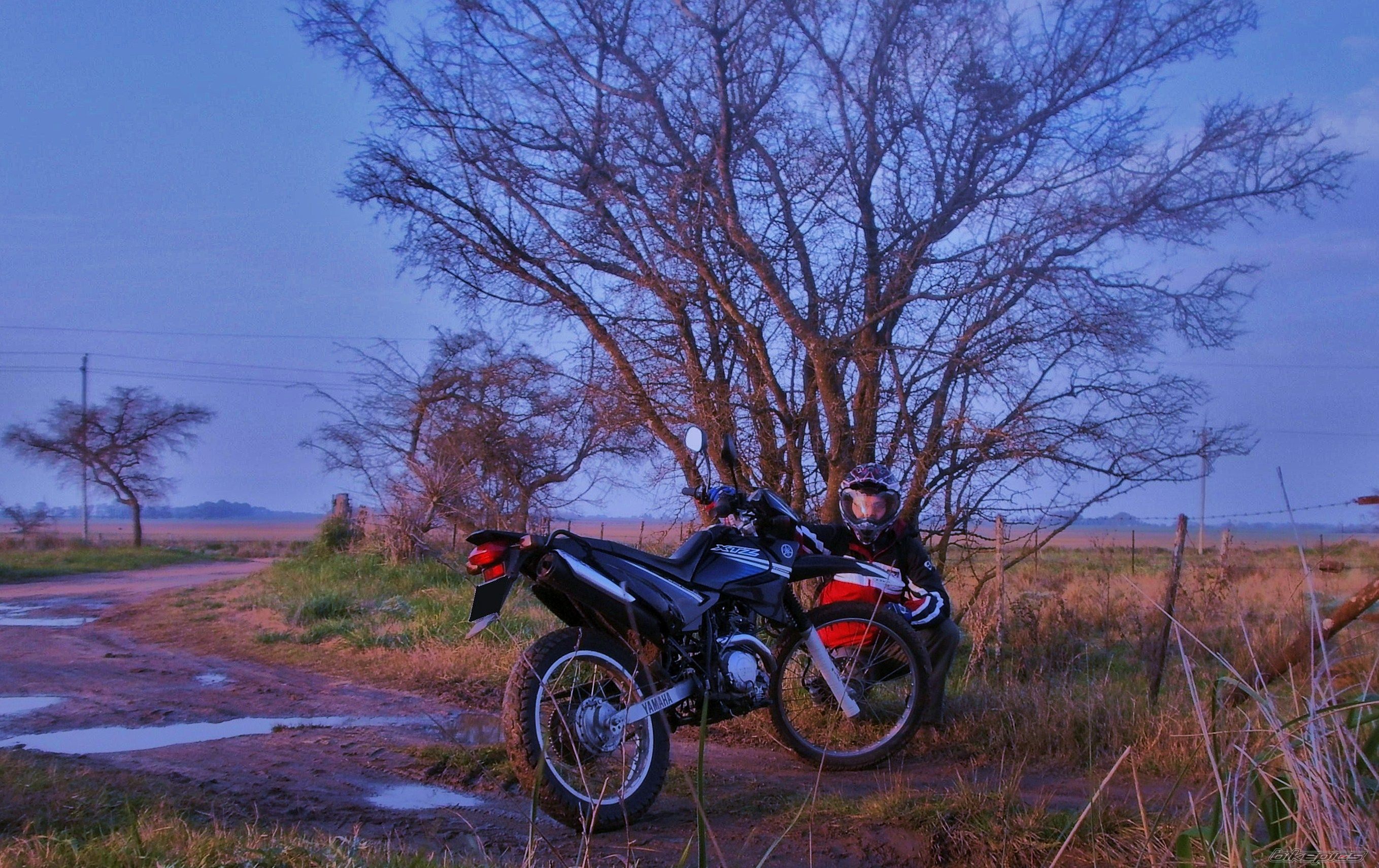 Photo 2790976
