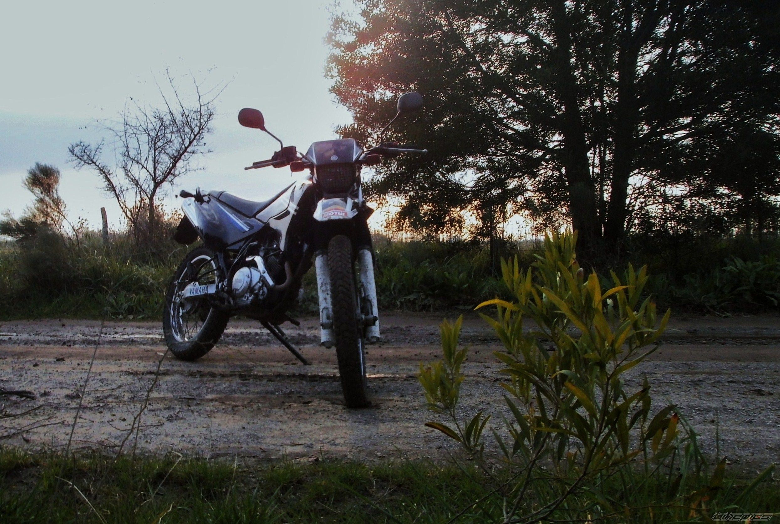 Photo 2790978