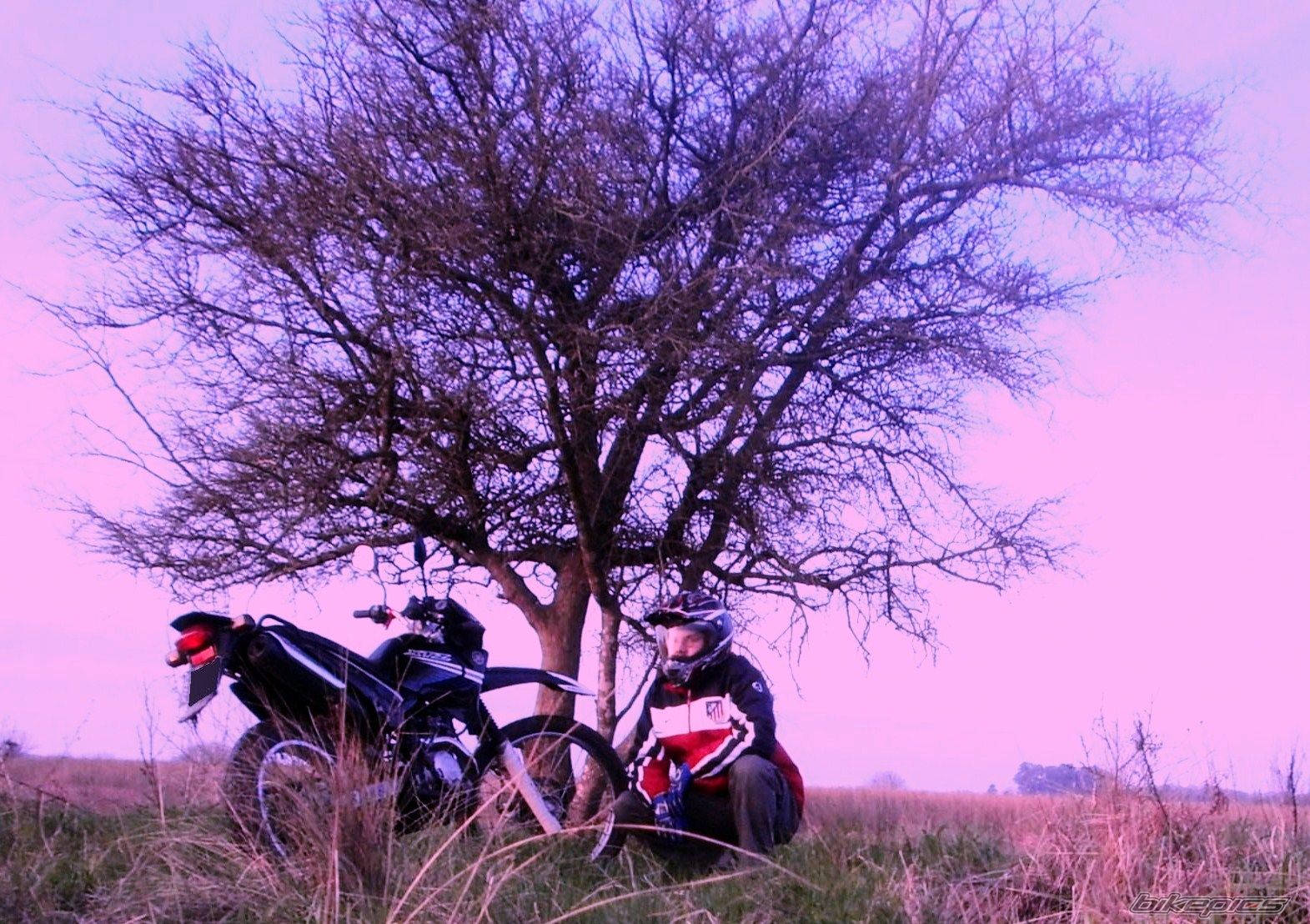 Photo 2790980