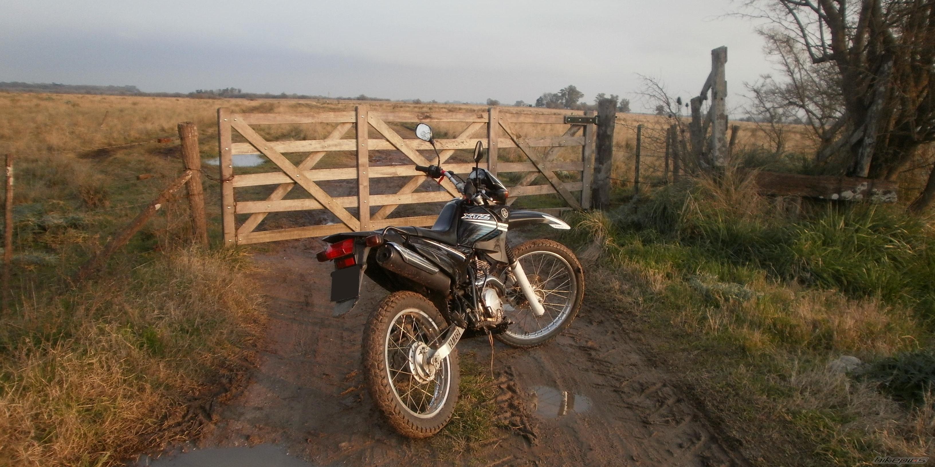 Photo 2790982