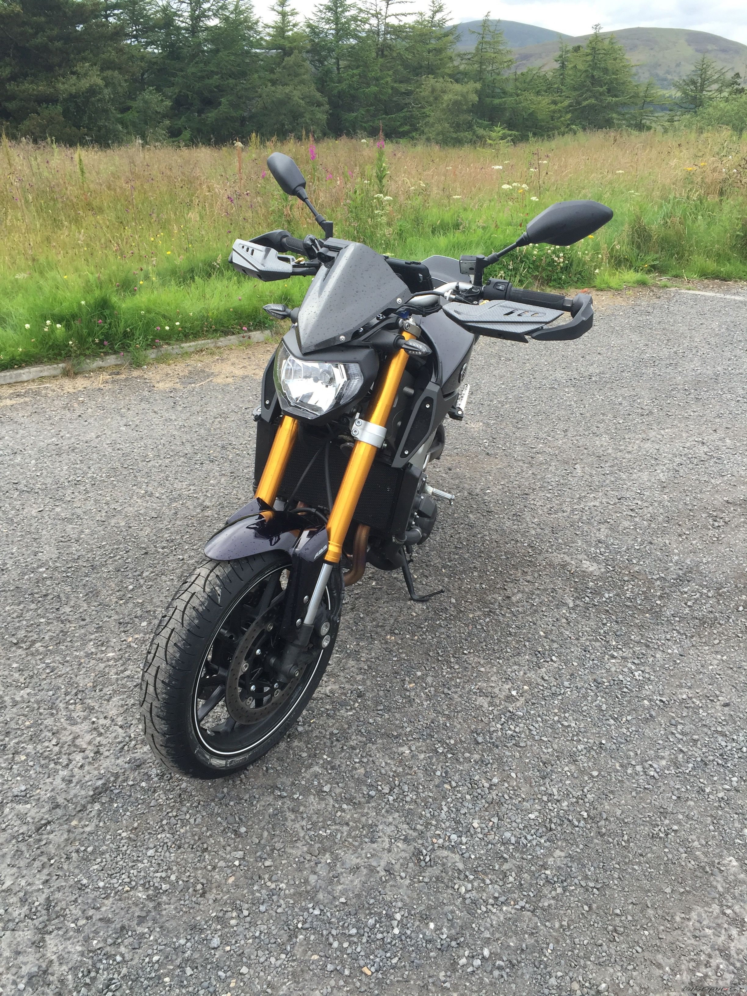 Photo 2791053