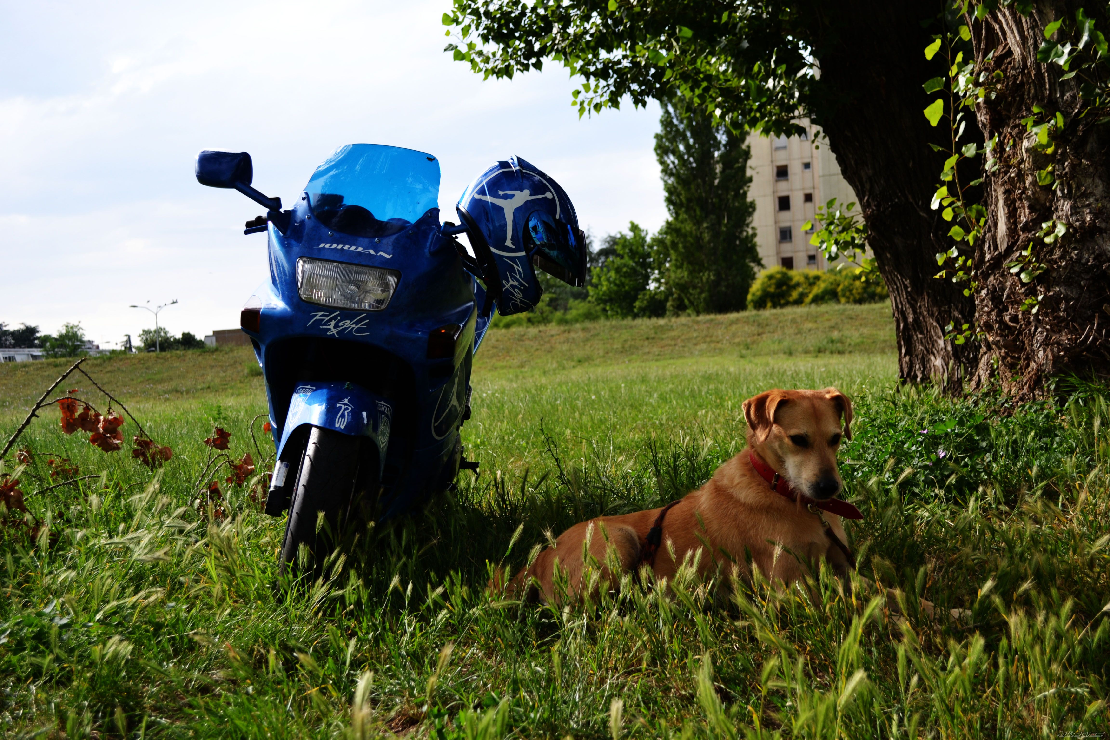 Photo 2791072