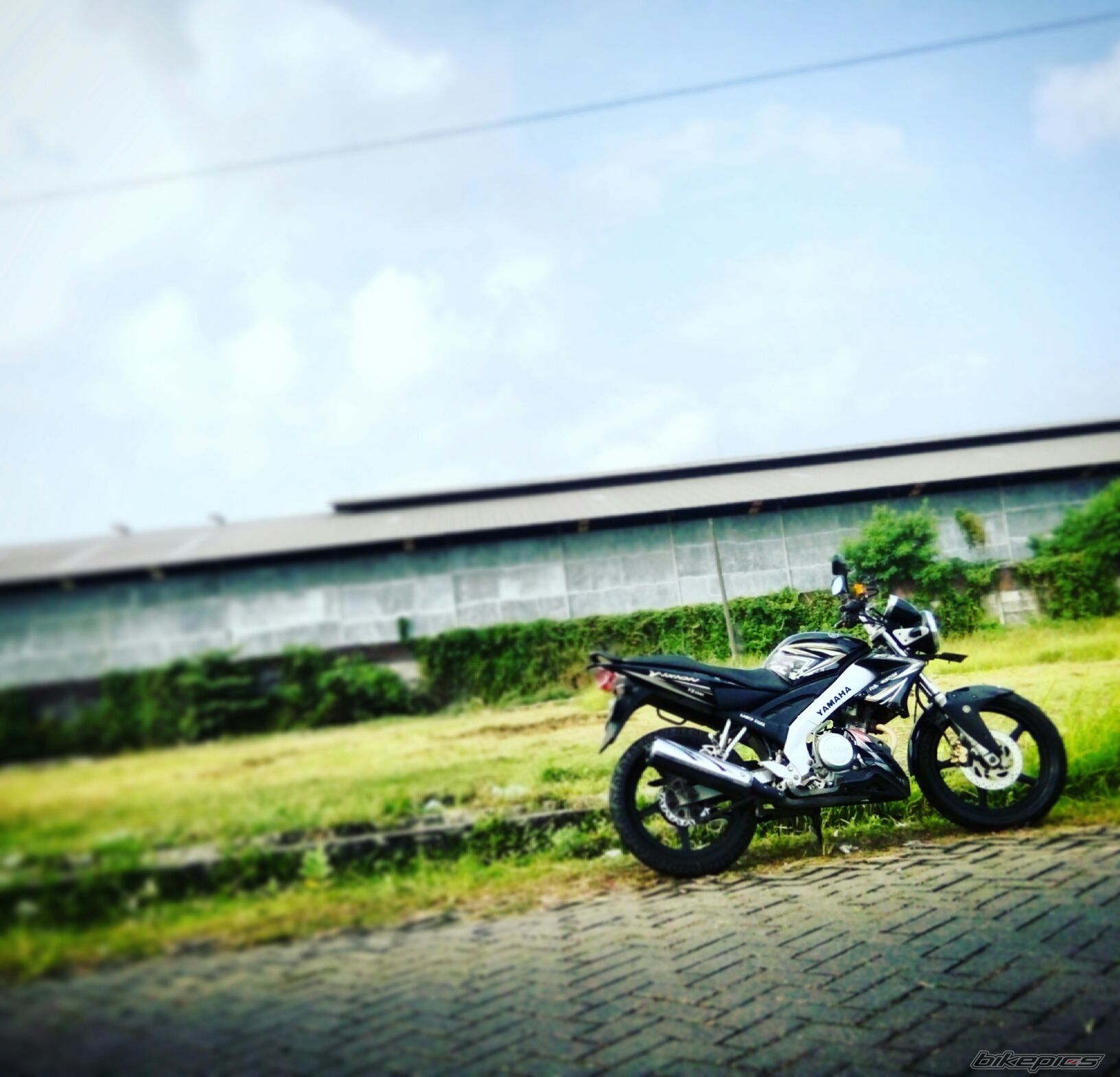 Photo 2791163