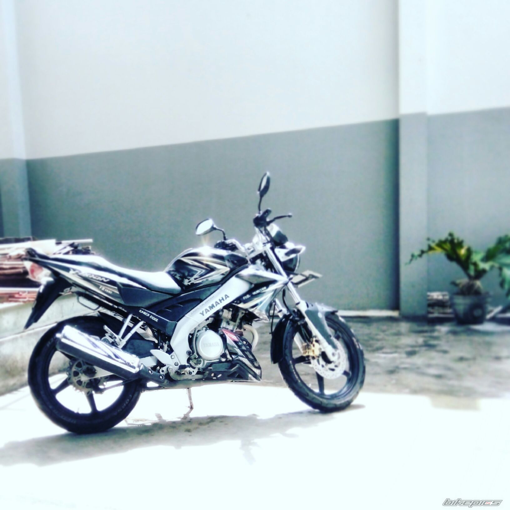 Photo 2791168