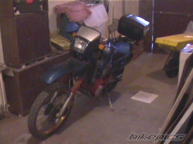 Photo 279119