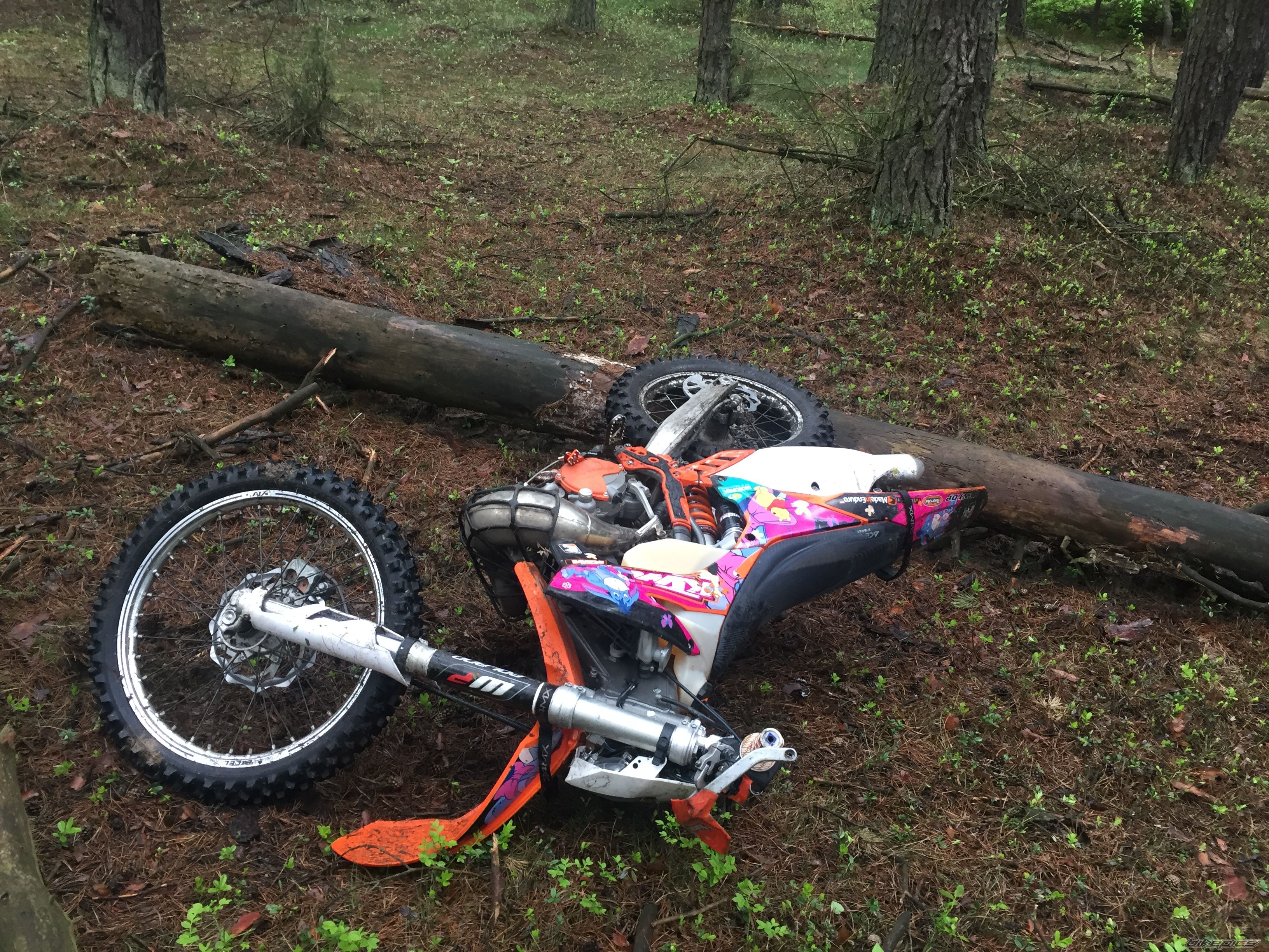 Photo 2791241