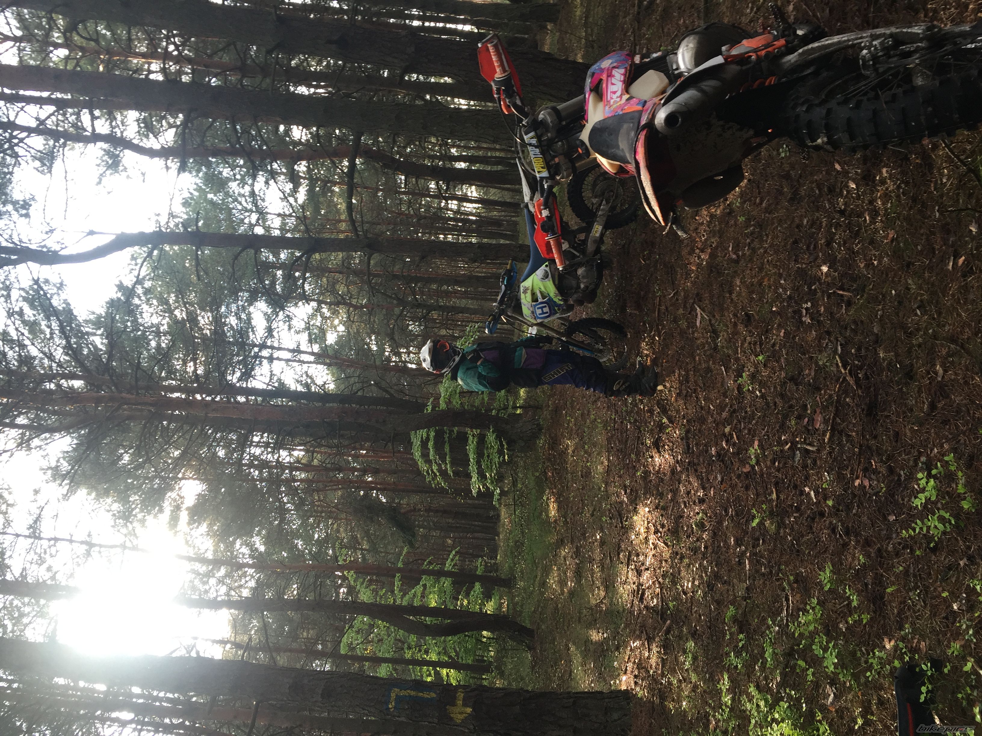 Photo 2791243