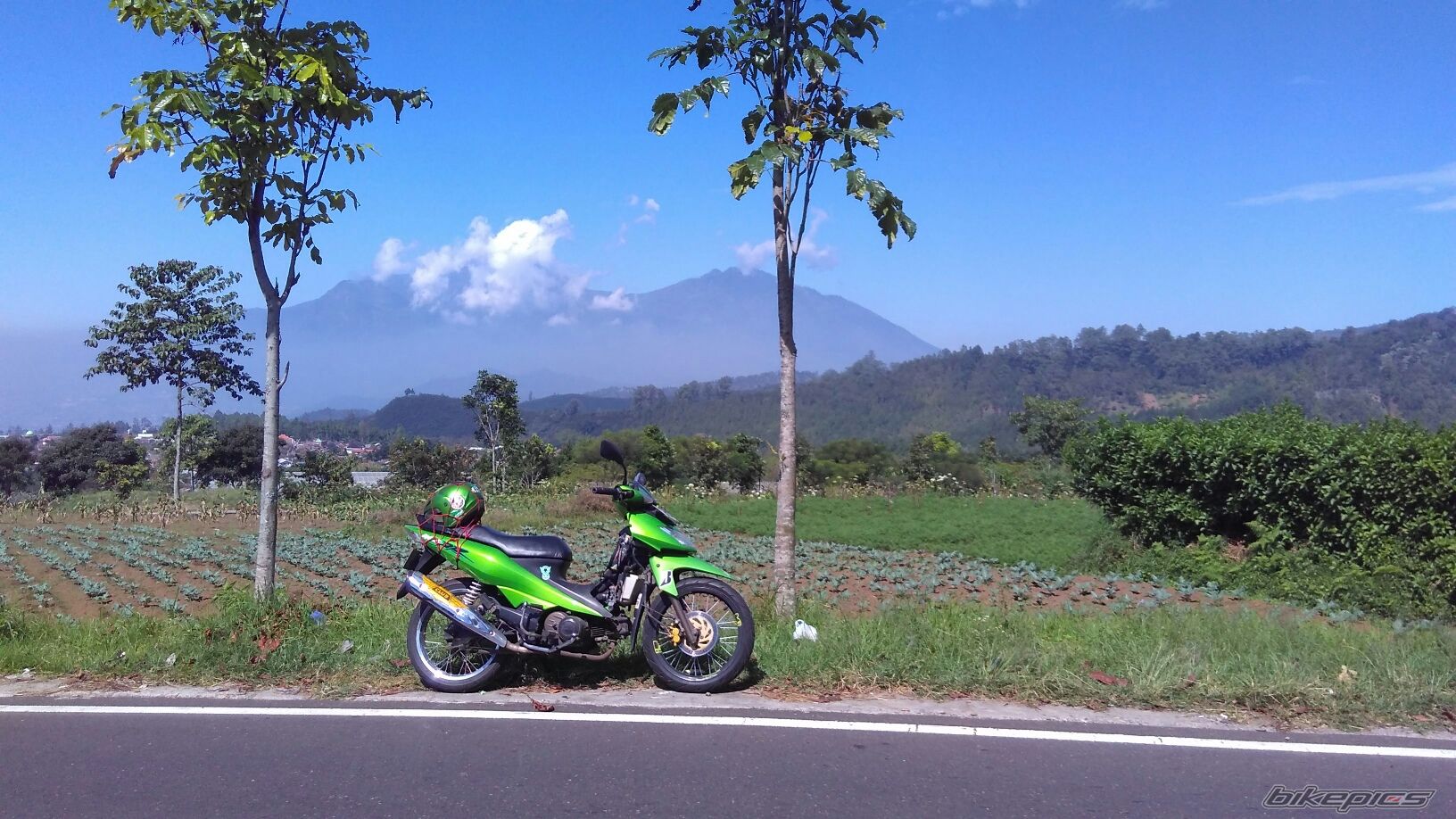 Photo 2791291