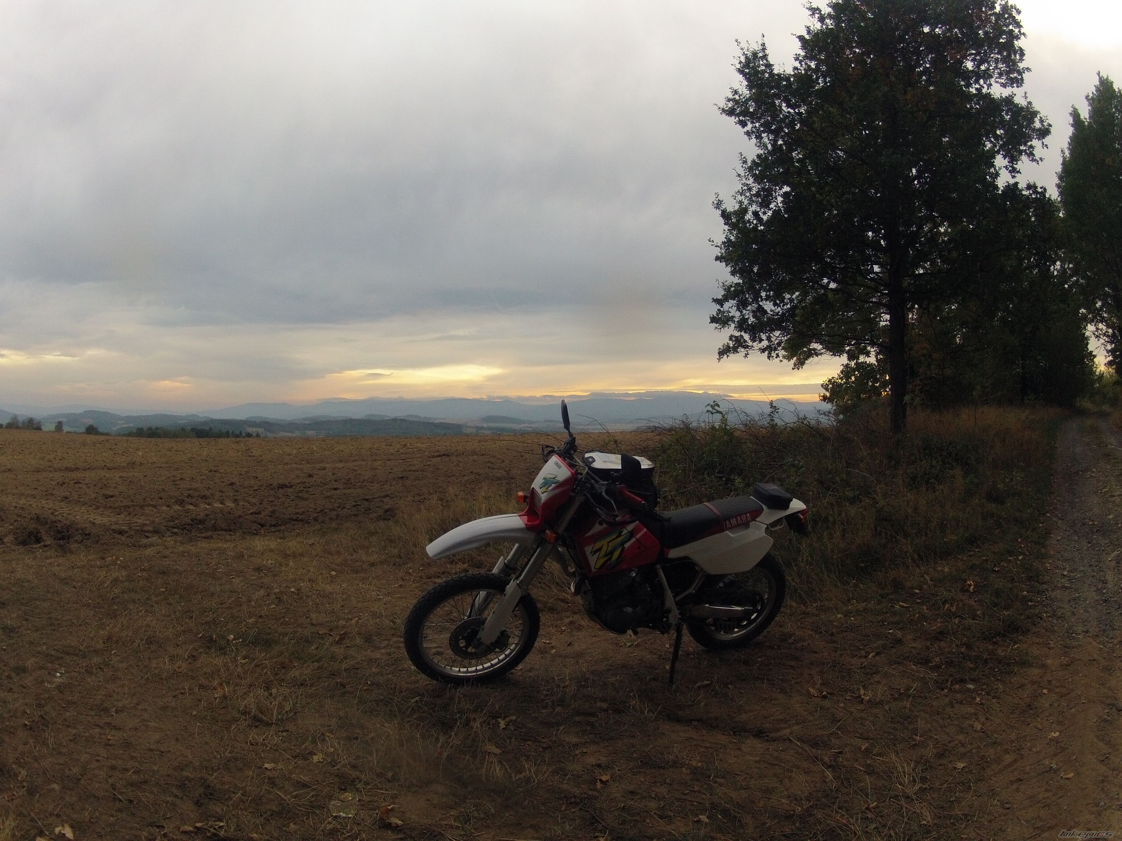 Bike Photo 2791387
