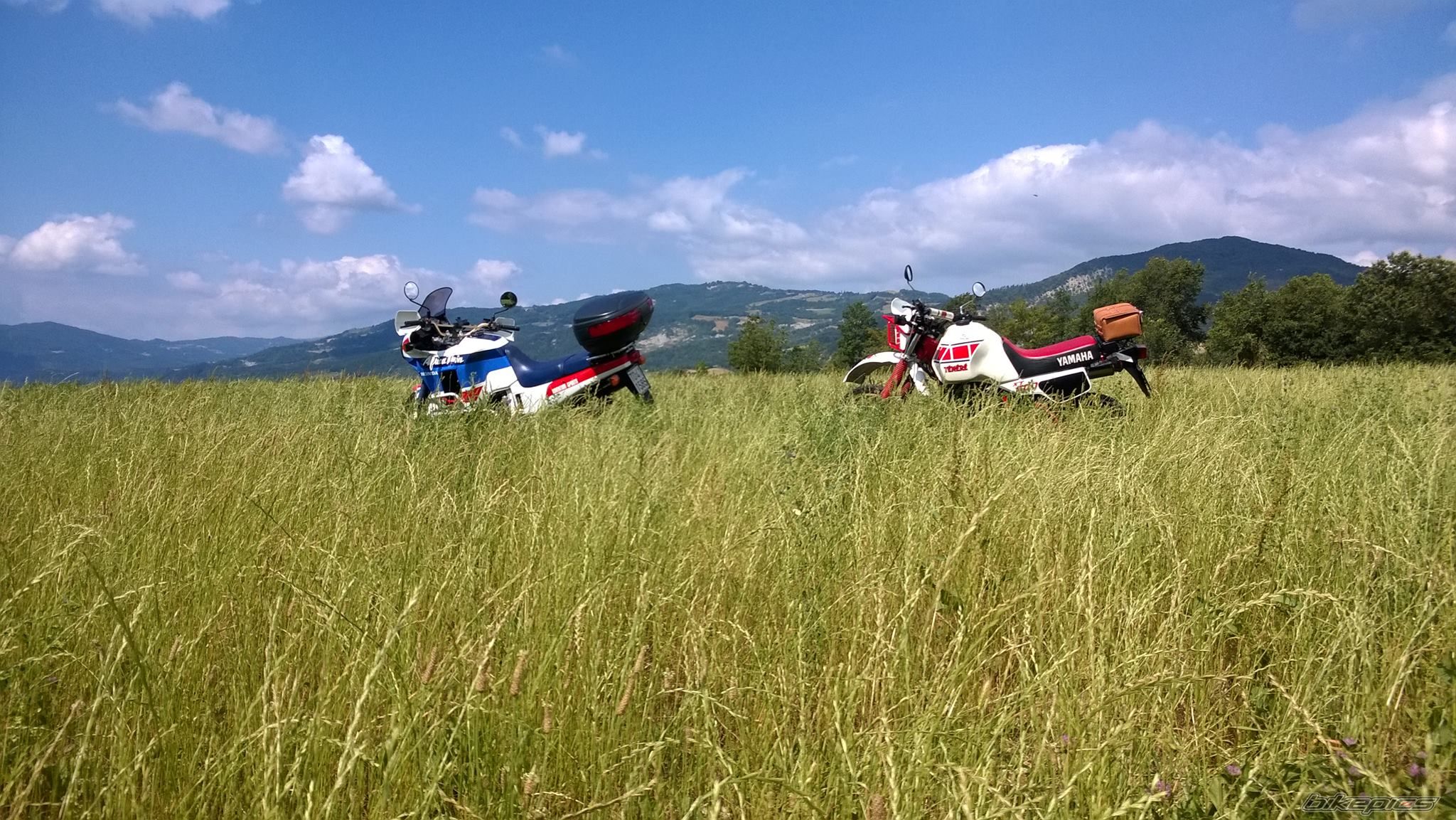 Photo 2791397