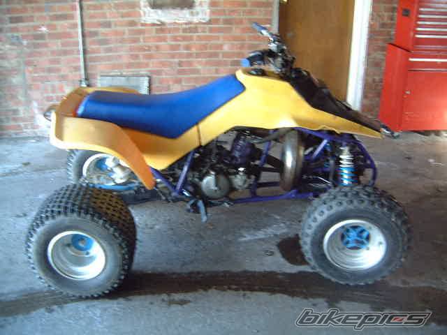 Photo 279141