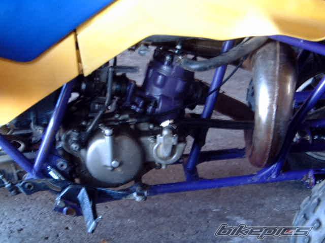 Photo 279142
