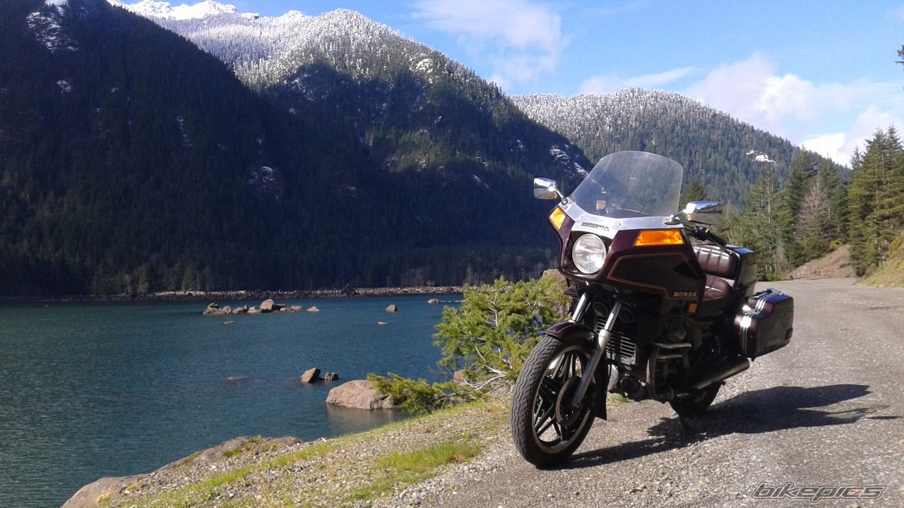 GL 500 Silverwing