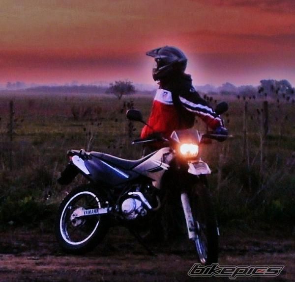 Bike Photo 2791472