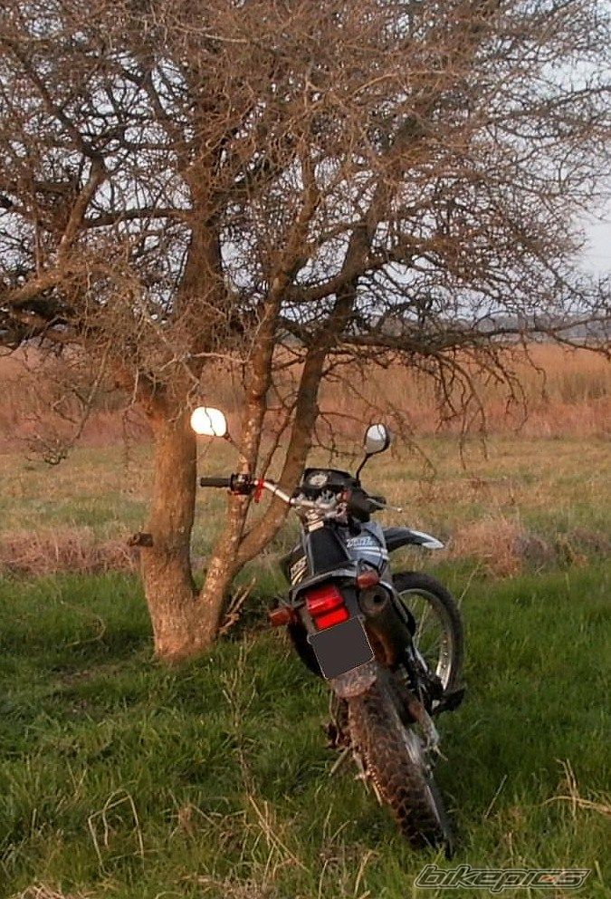 Photo 2791537