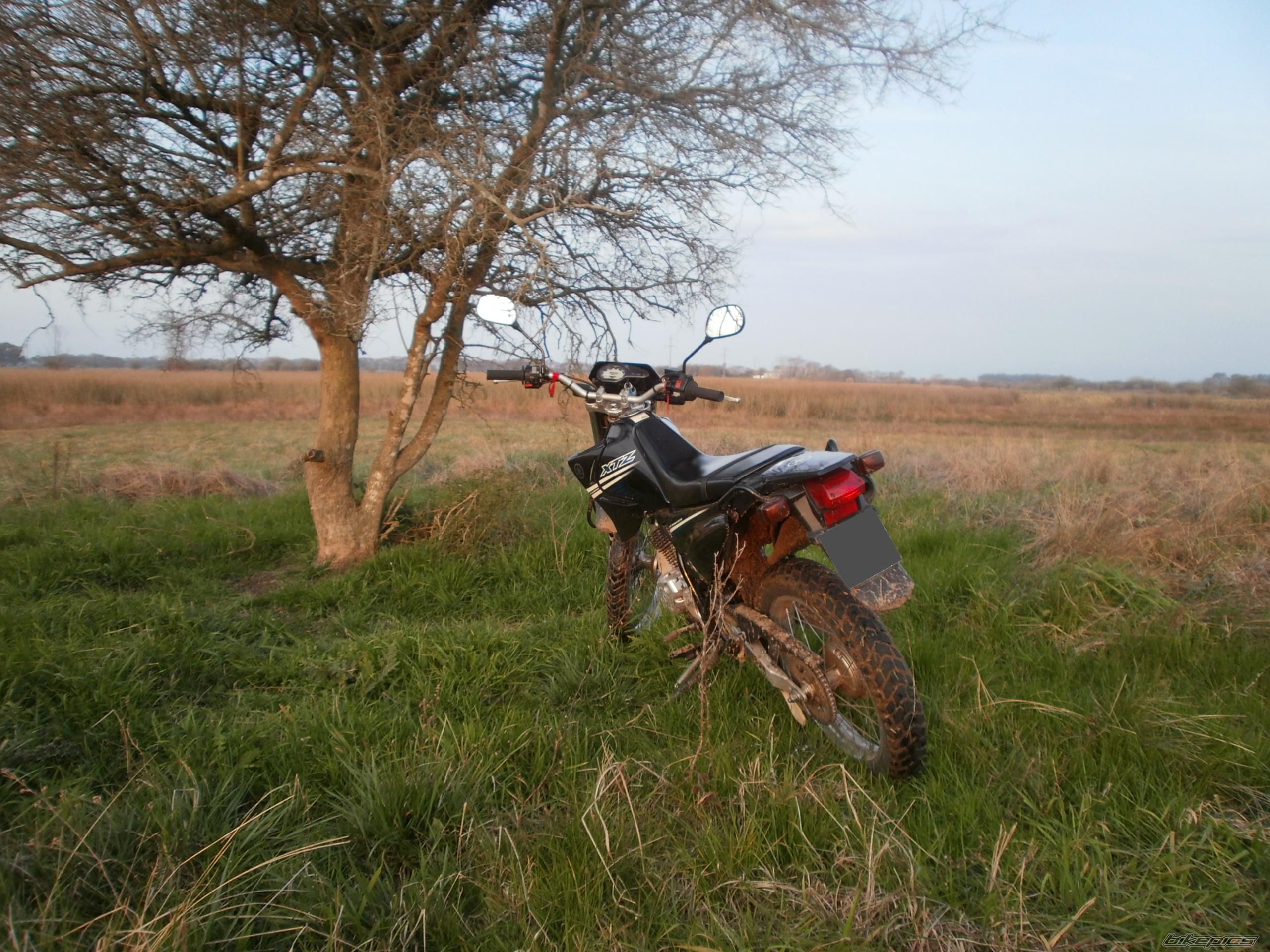 Photo 2791538